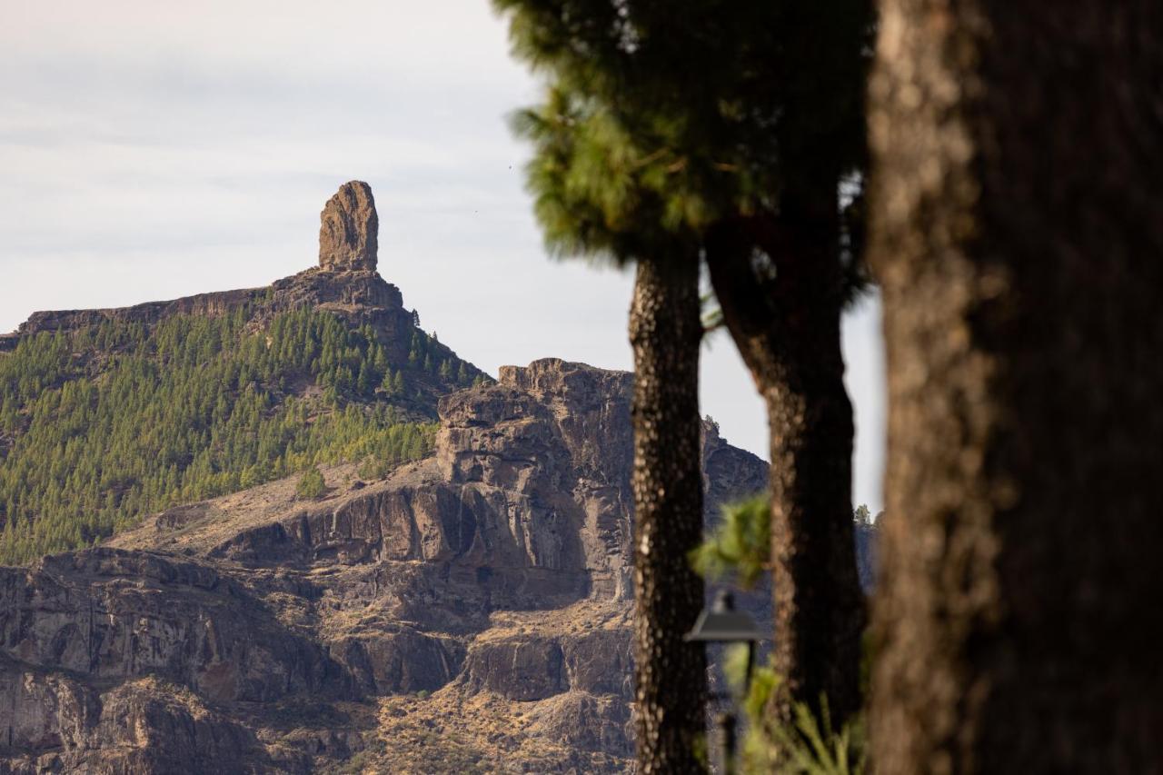 Casa Maria With Roque Nublo View Διαμέρισμα Tejeda  Εξωτερικό φωτογραφία