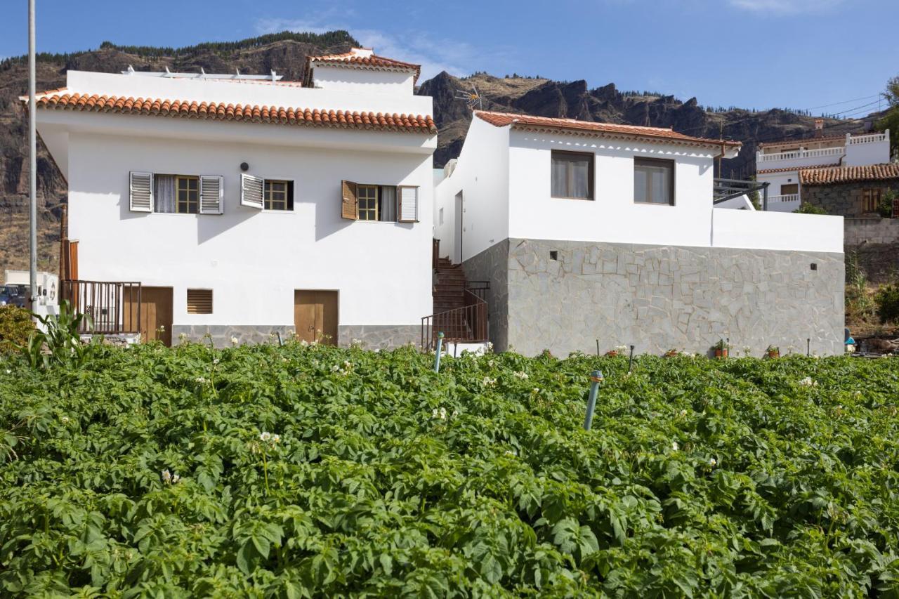 Casa Maria With Roque Nublo View Διαμέρισμα Tejeda  Εξωτερικό φωτογραφία